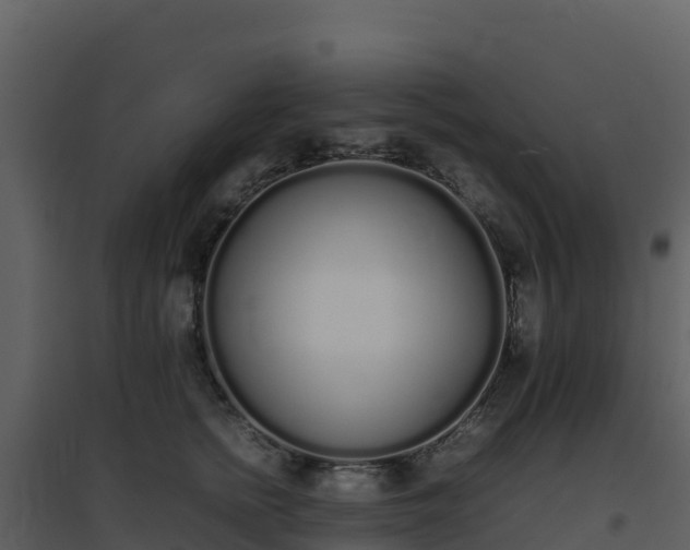 X0000096650758200802121132