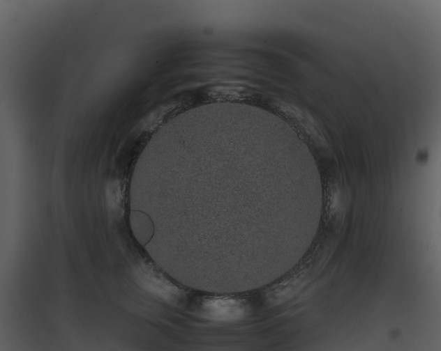 X0000096650759200802121132
