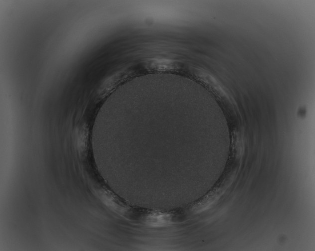 X0000096650760200802121132
