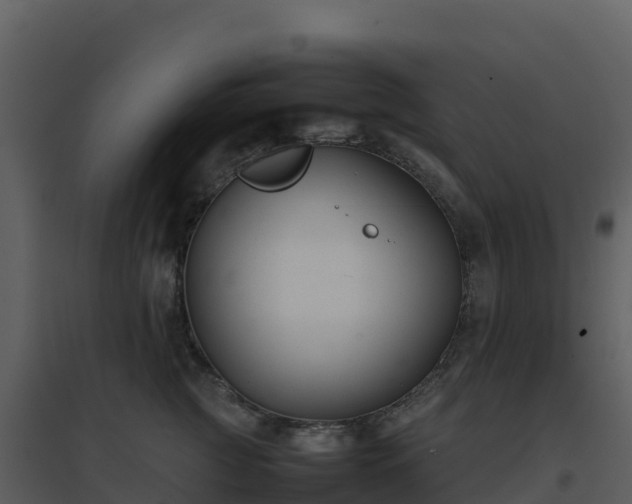 X0000096650761200802121132
