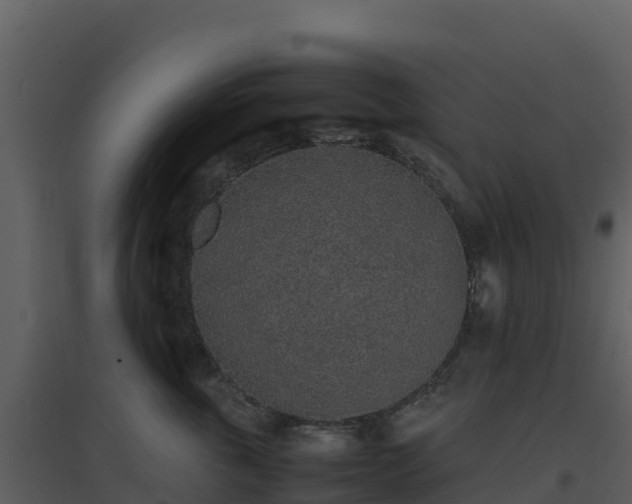 X0000096650763200802121132