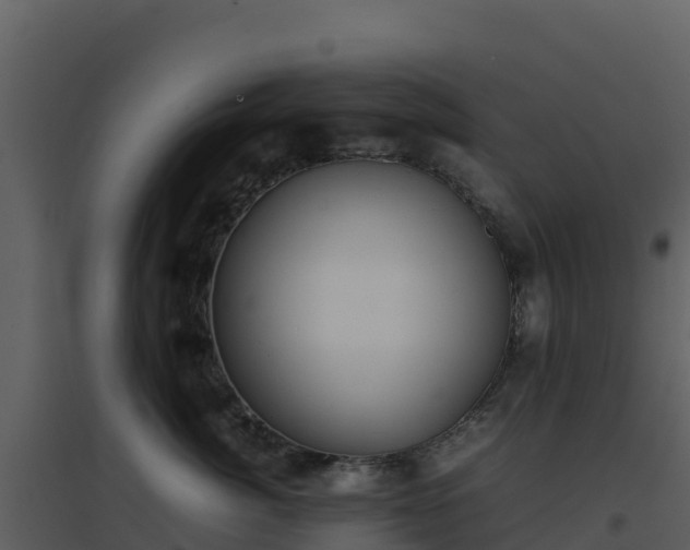 X0000096650764200802121132