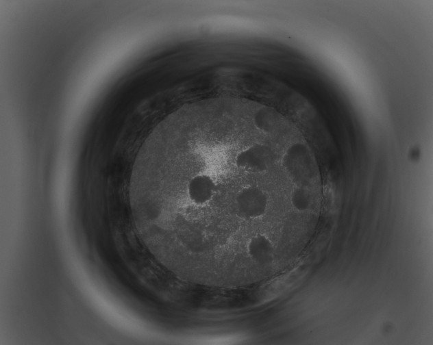 X0000096650765200802121132