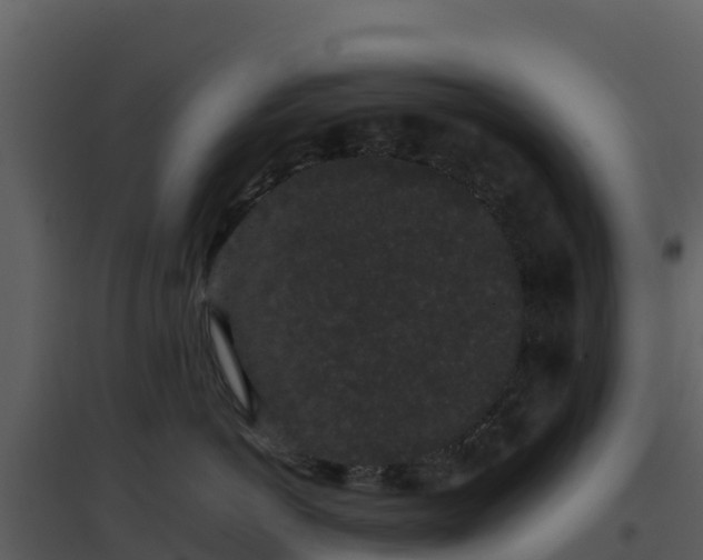 X0000096650766200802121132