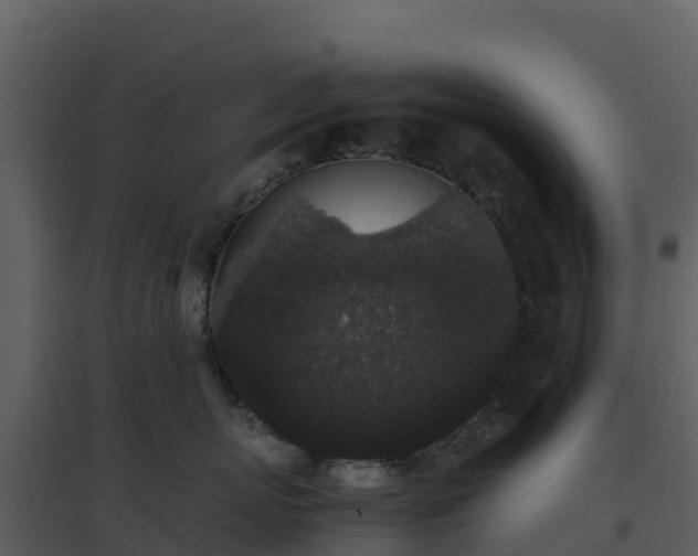 X0000096650767200802121132