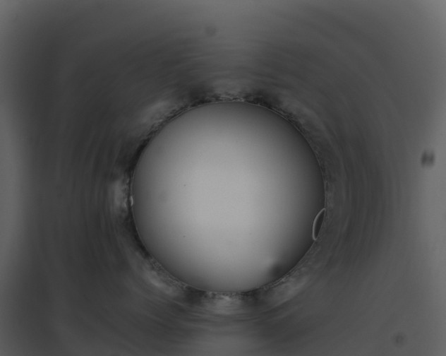X0000096650768200802121132