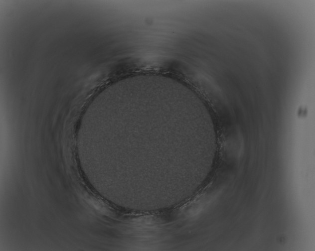 X0000096650769200802121132