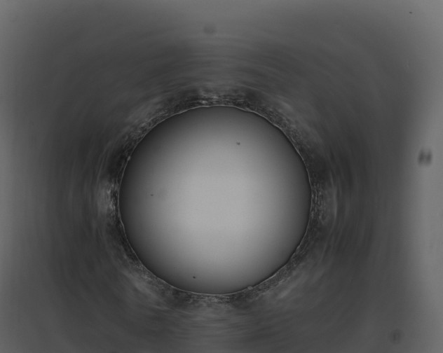 X0000096650770200802121132