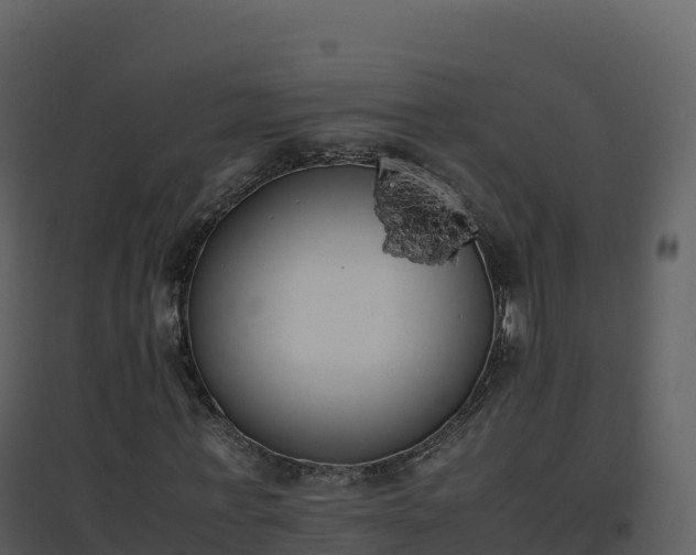 X0000096650771200802121132