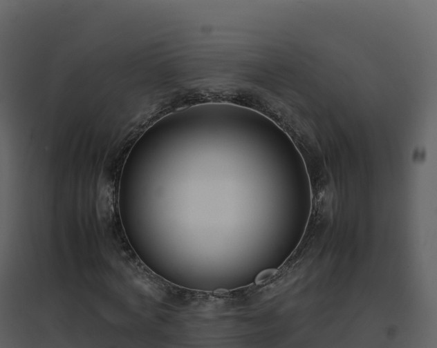 X0000096650772200802121132
