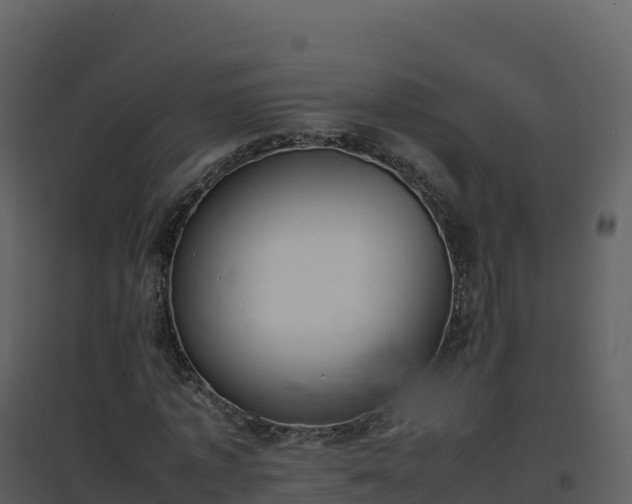 X0000096650773200802121132