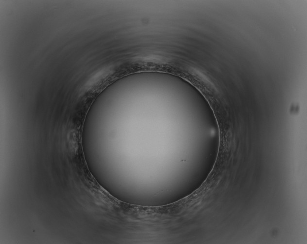 X0000096650774200802121132