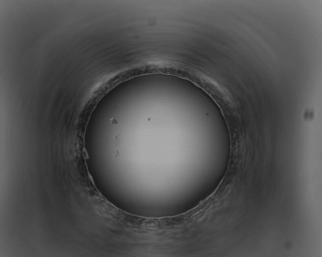 X0000096650776200802121131