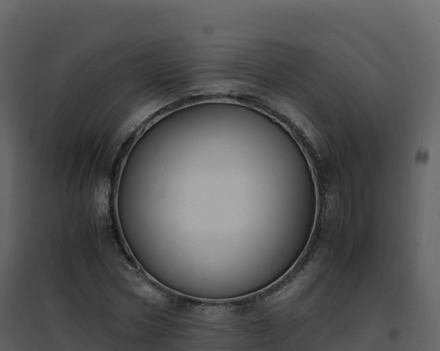 X0000096650778200802121131