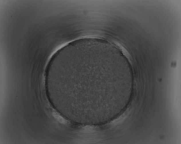 X0000096650779200802121131