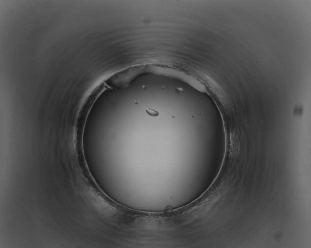 X0000096650780200802121131