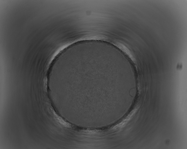 X0000096650781200802121131