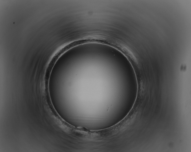 X0000096650784200802121131