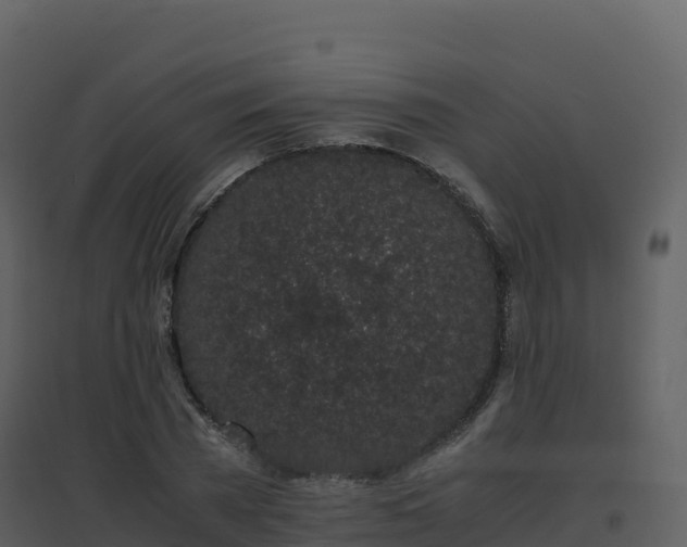 X0000096650785200802121131