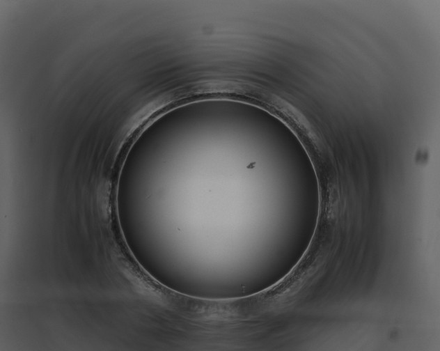 X0000096650786200802121131