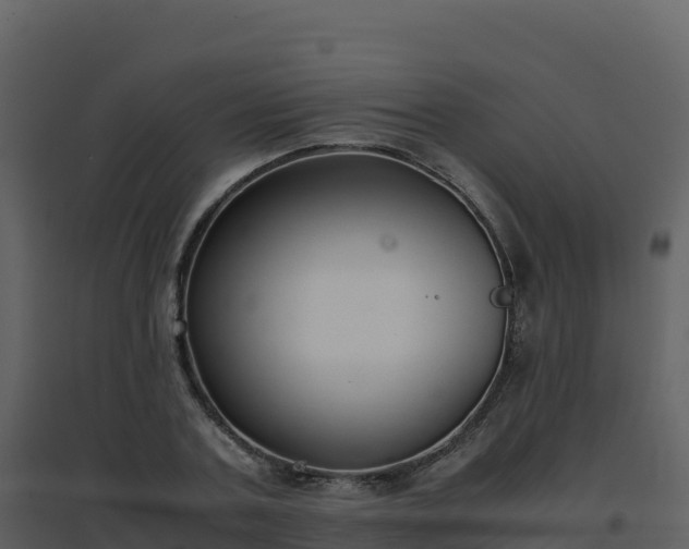 X0000096650787200802121131
