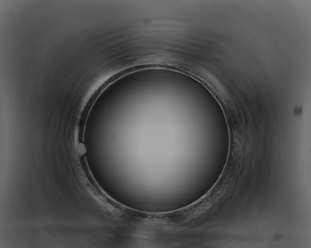 X0000096650788200802121131