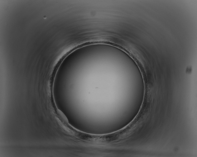 X0000096650789200802121131