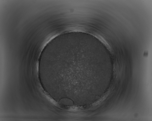 X0000096650790200802121131