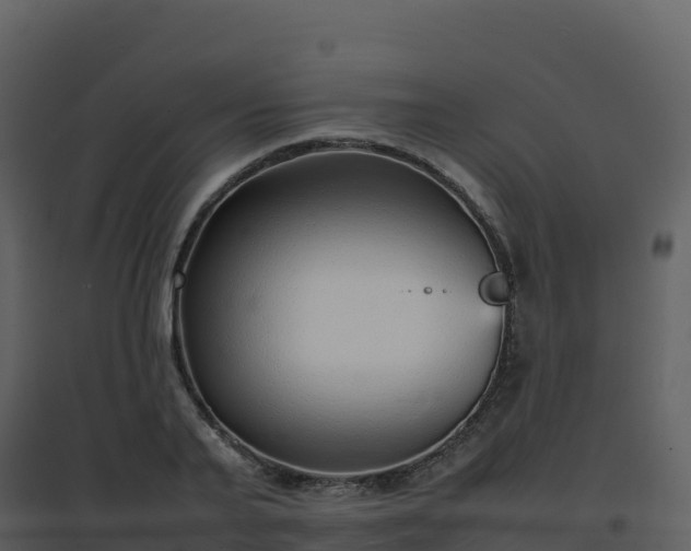 X0000096650791200802121131
