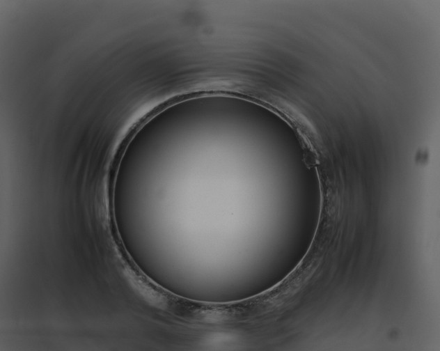 X0000096650792200802121131