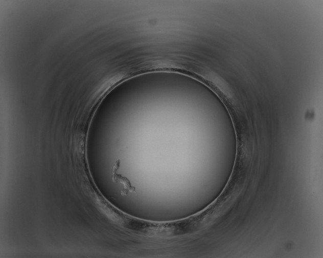 X0000096650793200802121131