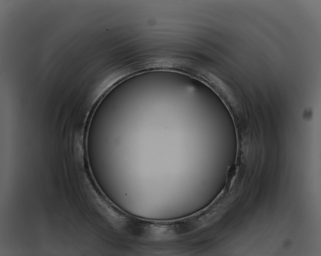 X0000096650794200802121131