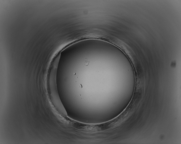 X0000096650795200802121131