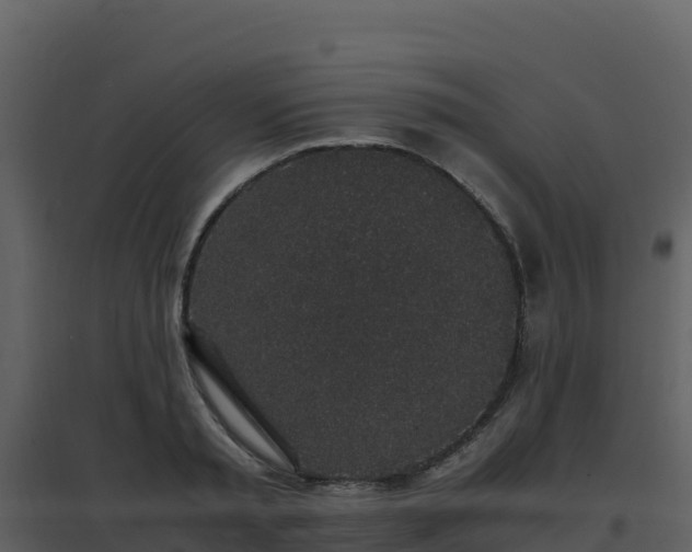 X0000096650797200802121131