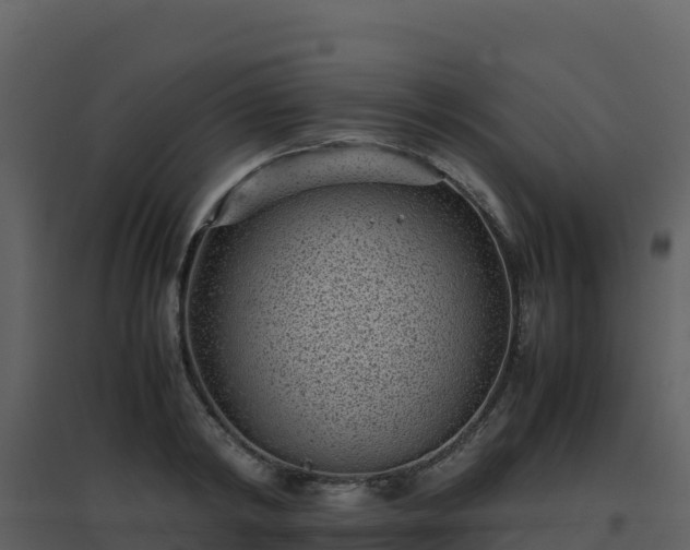 X0000096650798200802121131