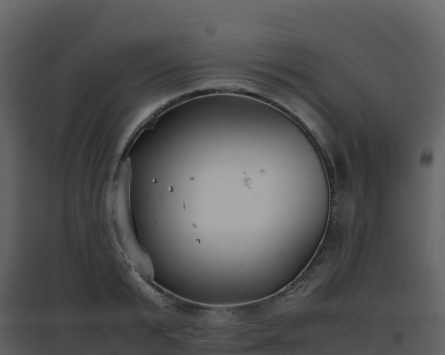 X0000096650799200802121131