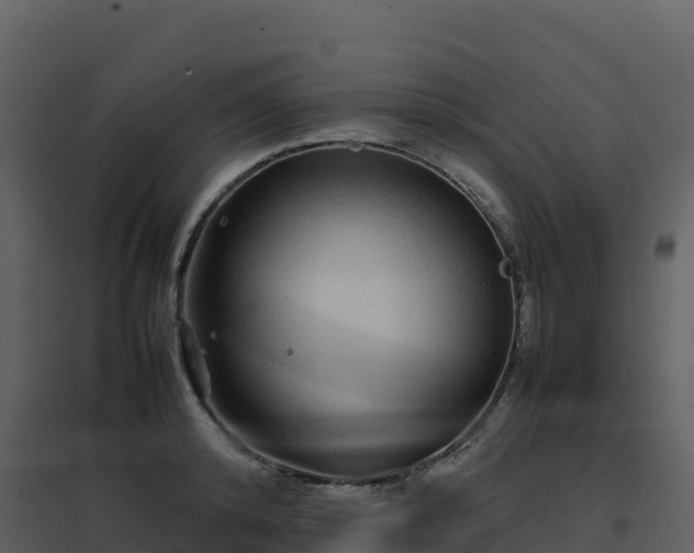 X0000096650800200802121131