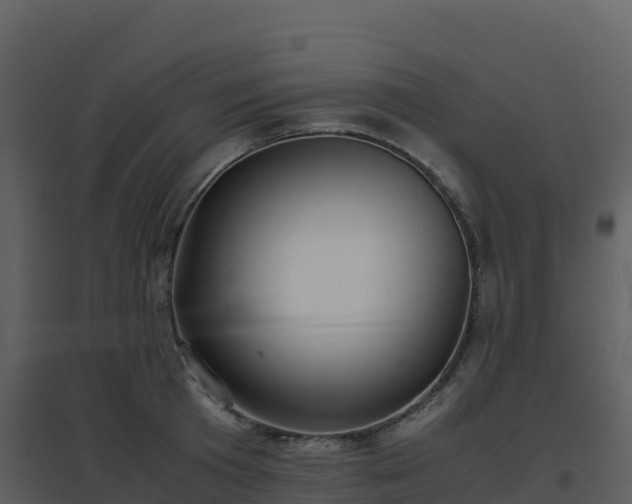 X0000096650801200802121131