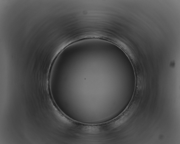 X0000096650802200802121131