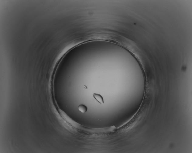X0000096650803200802121131