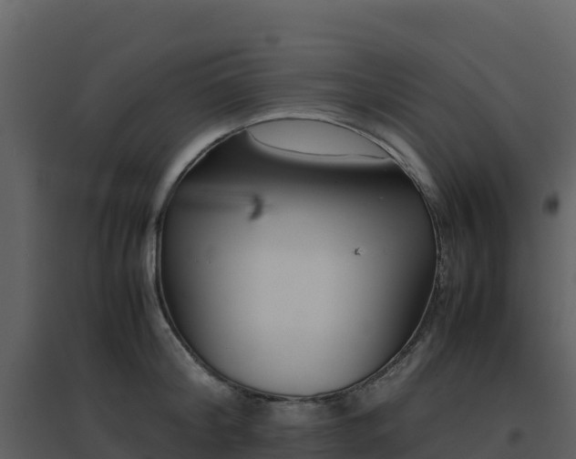 X0000096650804200802121131
