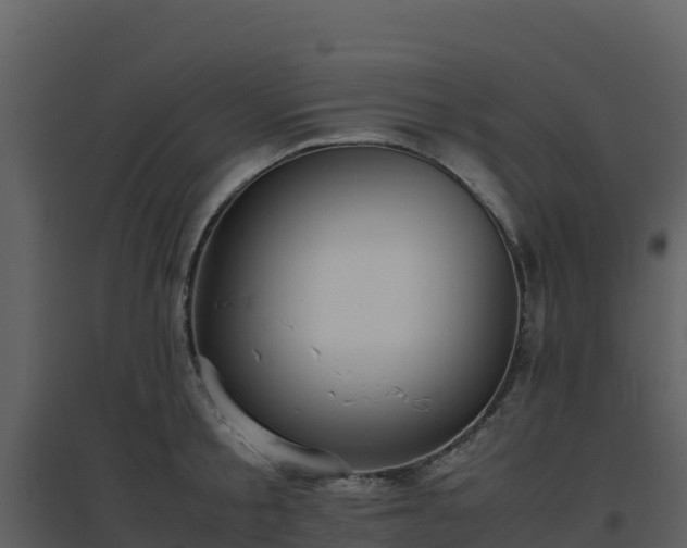 X0000096650805200802121131