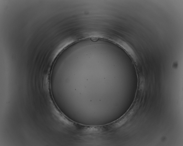 X0000096650806200802121131