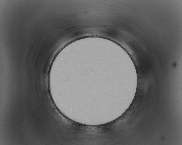 X0000096650807200802121131