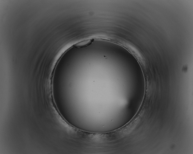 X0000096650808200802121131