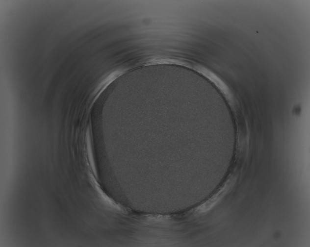 X0000096650809200802121131