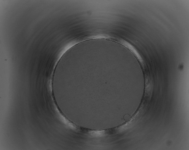 X0000096650810200802121131