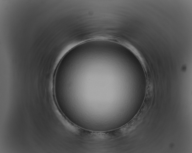 X0000096650811200802121131