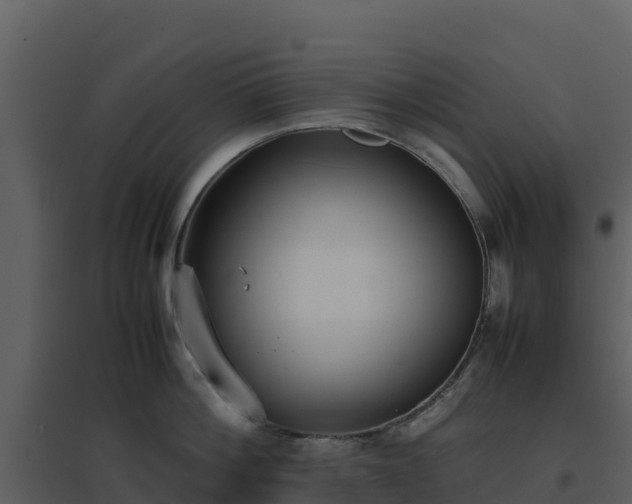 X0000096650812200802121131