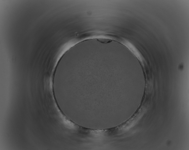 X0000096650813200802121131